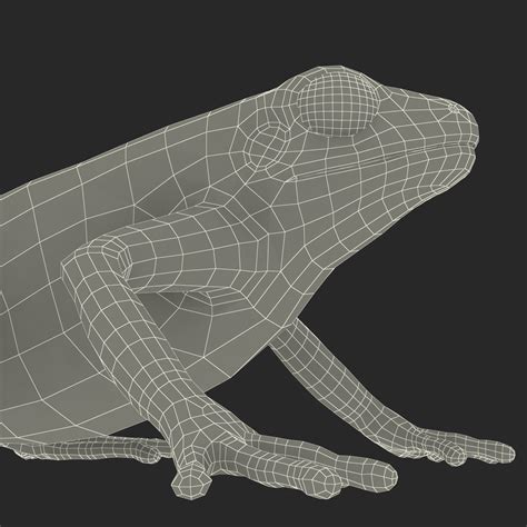 3D model Mantella Frog Pose 2 | 3D Molier International