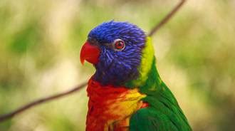 Image result for Create Me a Beautiful Pattern with Spring Colors