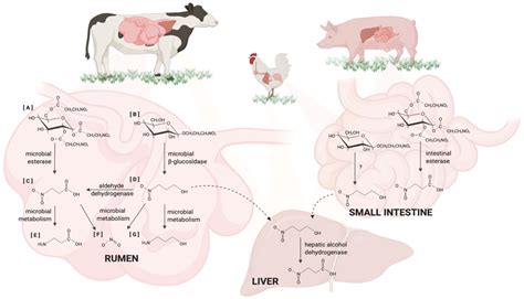 Roles of Nitrocompounds in Inhibition of Foodborne Bacteria, Parasites ...