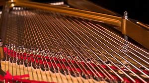 Image result for resonating strings