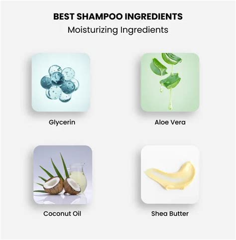 How Often Should You Shampoo & How to Pick Your Shampoo? – Fixderma ...