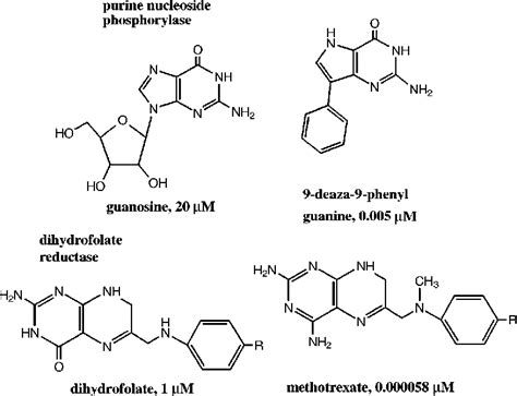 Transition State Analog 的图像结果