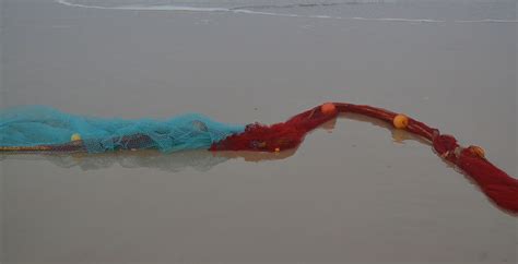 Dr. TMA Pai Endowment Chair | Deepta Sateesh