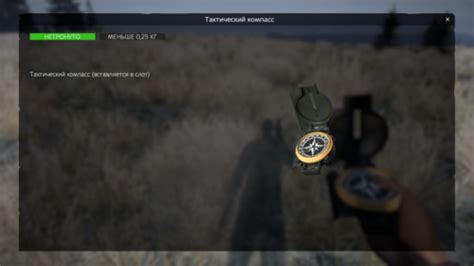 Image result for How to Use Compass DayZ