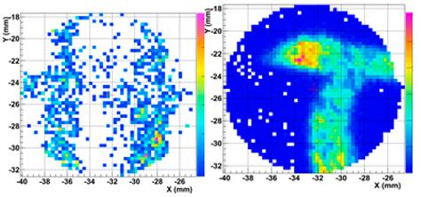 The Role of PIXE and XRF in Heritage Science: The INFN-CHNet LABEC ...