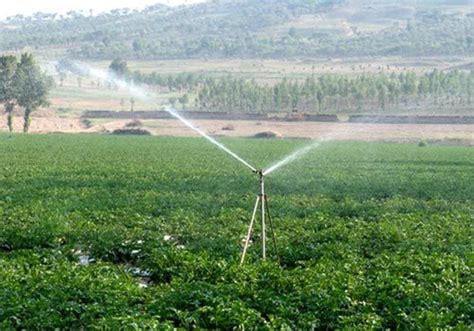 和人工灌溉相比，园林绿化安装自动喷灌系统有哪些优势？-深圳市南水灌溉科技有限公司
