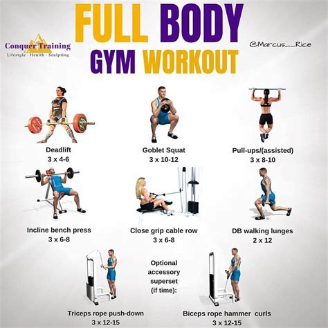 Full Body Workout Plan At Gym - CARDIO WORKOUT ROUTINE