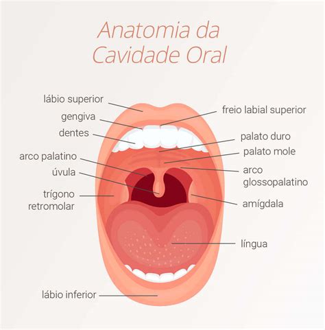 Câncer de Boca - Tratamento e Cirurgia SP