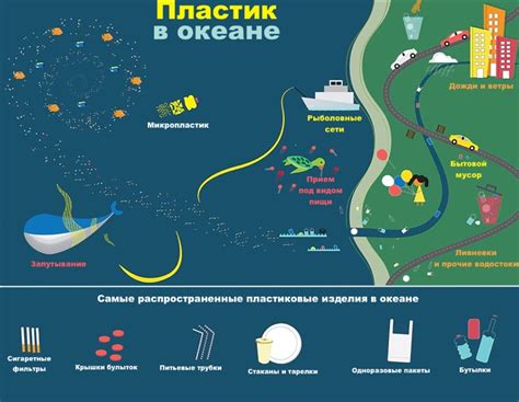 Вред пластика для живых организмов на земле и в океане