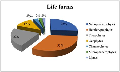 Plant Species Classification and Diversity of the Understory Vegetation ...
