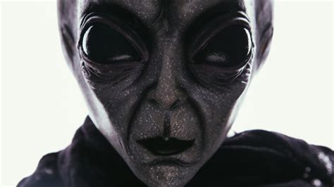 Image result for Aliens Mod