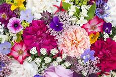 Beautiful Flower Picture by The Most Beautiful Flowers You Can Plant In Your Garden Beautiful Flower Picture
