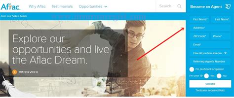 Image result for Aflac Auto Insurance