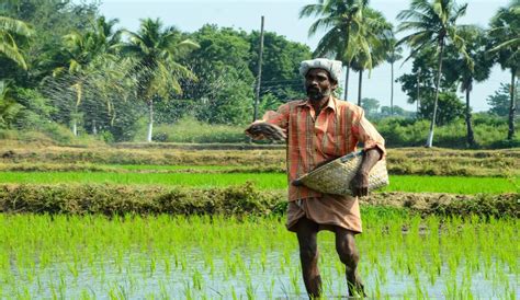 Agri exports spurt by 20% to $50 bn in FY22; rice top forex earner