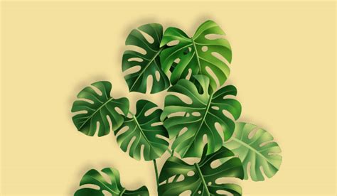 Sidh Green International |Landscaping Company in india