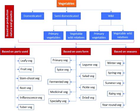Vegetable Classification 的图像结果