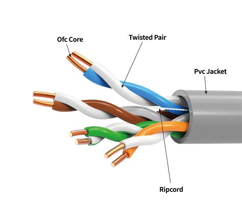 Indoor Cat5e Cable UTP Shielded Twisted Pair Ethernet LAN Network SFTP ...