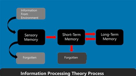 Information Processing Learning 的图像结果