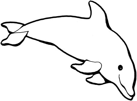 Printable Coloring Pages Dolphins