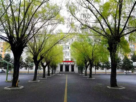 黑龙江省实验中学国际部（Heilongjiang Experimental High School）-全球留学网