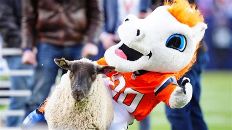 Denver Broncos: 2025 schedule announced with cute Mutton Bustin' video