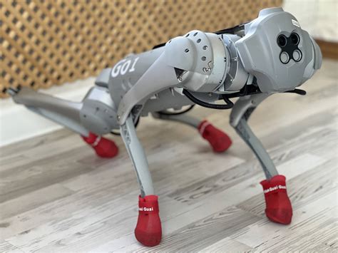 UniTree Go1 Pro Rwview 的图像结果