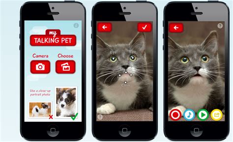 'My Talking Pet' App Lets Your Pets Do The Talking