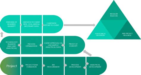 Process Flow Diagram Pharmceautical Engineering 的图像结果