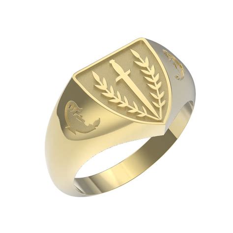 Netheril Ring of Protection 的图像结果