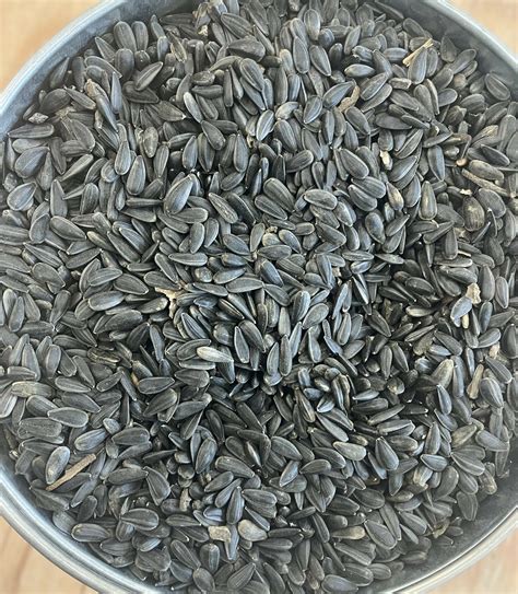 Black Oil Sunflower Seeds - Woods Hay and Grain