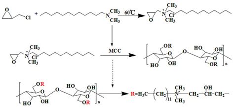 Polymers | Special Issue : Polymer Materials for Electrochemical ...
