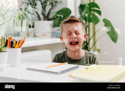 Image result for Crying Person Doing Homework