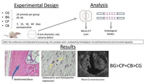 Application of Tissue Engineering in Manufacturing Absorbable Membranes ...