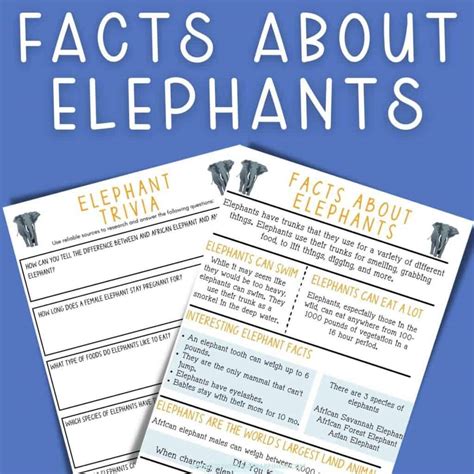10 Fun Facts About an Elephant That Kids Will Love Learning
