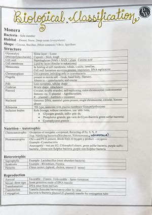 Cell cycle and cell division Short notes for Class 11th Boards and NEET ...