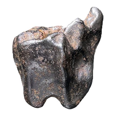 Shikote Iron Meteorite – CrystalCaveIndia