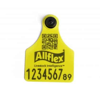 Large Ultra Female – SER - Allflex Livestock Intelligence India