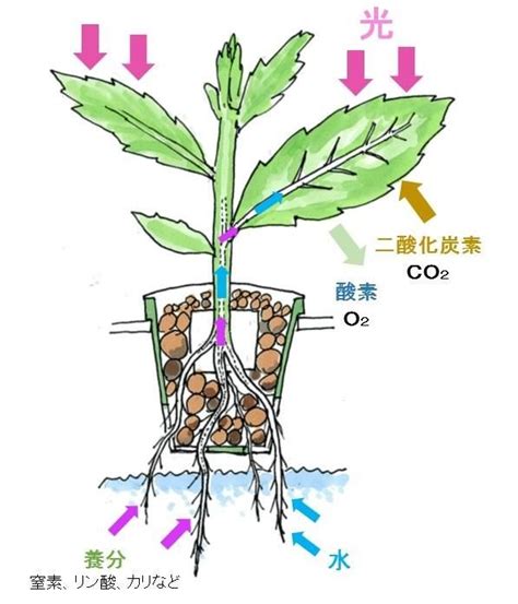 Image result for WisdomTree China