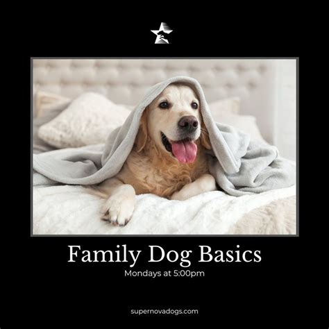 Family Dog Basics, 363 Delaware St, Tonawanda, NY, United States, New ...