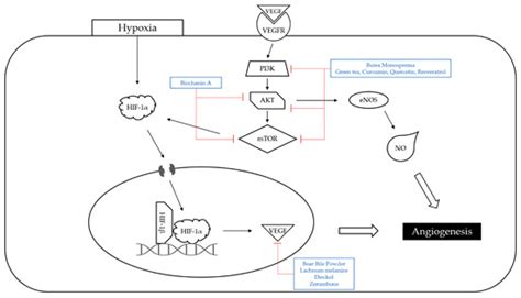 Nutrients | Special Issue : Medicine and Food Homologous Plants and ...