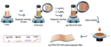 Label-Free SERS Analysis of Serum Using Ag NPs/Cellulose Nanocrystal ...