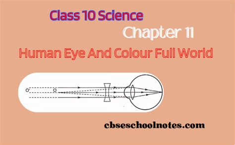 Class 10 Science Chapter 11 Topic Eyes 的图像结果