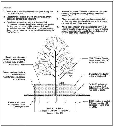 Landscape Plan Submittal 2D Site Plan And Landscape Plans With