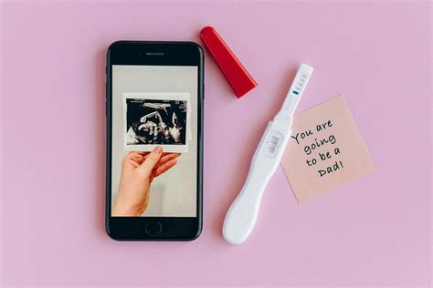 How Much Is a Cat Pregnancy Test: Everything You Need to Know – MomMed