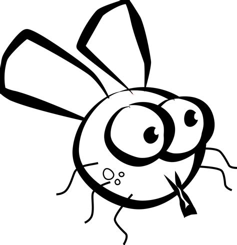Free Fly Clipart Png, Download Free Fly Clipart Png png images, Free ...