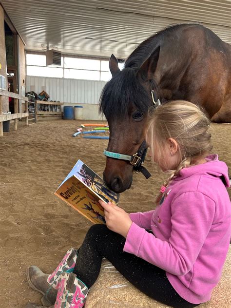 Story Time & Craft with the horses, Circle C Stable Courses with Horses ...