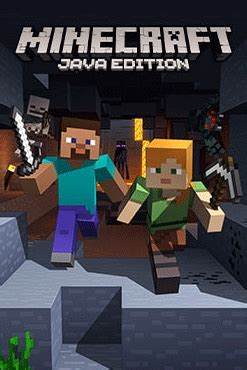Image result for Minecraft Java Edition Download Windows 11