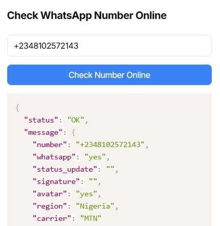 (Must Read) How to Check Online Activity for Bulk WhatsApp Numbers?