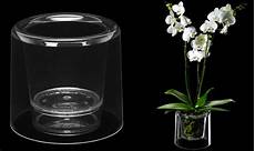 come curare le orchidee in vaso come curare le orchidee tutti i segreti giardango come curare le orchidee in vaso come curare le orchidee tutti i segreti giardango