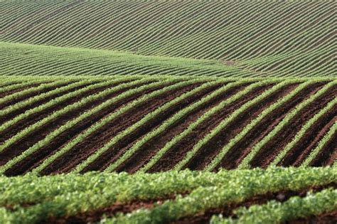 Image result for Netafim Problems